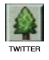 twt